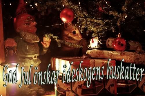 kattgran-julkort.jpg