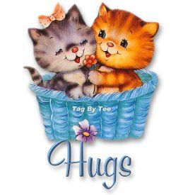 a4a2f3b4.jpg Cats hugs image by cutebratmonkey