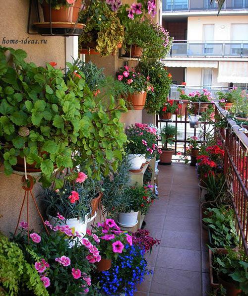 Дизайн балкона цветами