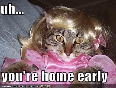 funny-pictures-cat-wig-dress-home-e.jpg image by blckroziz