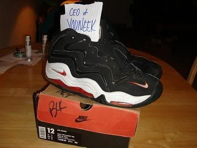 nike air pippen 1 marroni