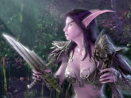 female world of warcraft characters. Women characters are dressed scantly. Promoting lust.