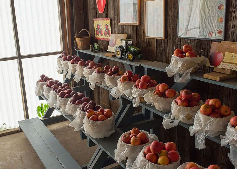 Apples For Sale, Grassy Ridge