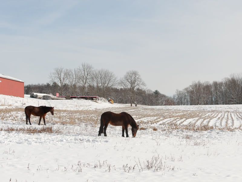 Winter Scene, Butler Valley
