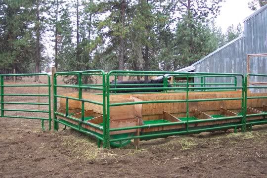 feed bunk - CattleToday.com