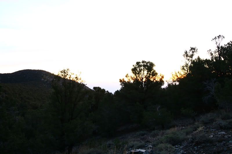 IMAGE: http://i10.photobucket.com/albums/a129/hallbilly/projects/IMG_6976copy.jpg