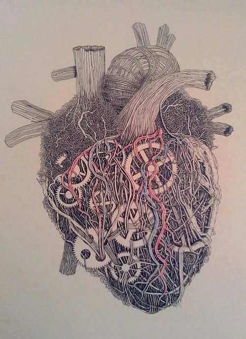 Phd dissertation picture