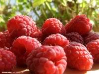 raspberry.jpg raspberry image by ChaosFaerie