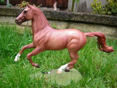 Photobucket Photobucket