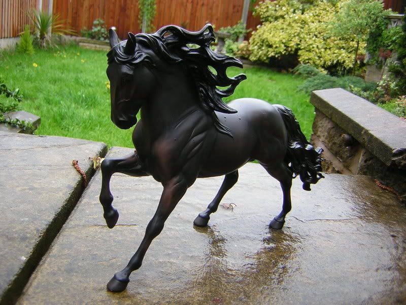 DSCN1448.jpg Midnight Tornado picture by KimWatson DSCN1448.jpg Midnight Tornado picture by KimWatson