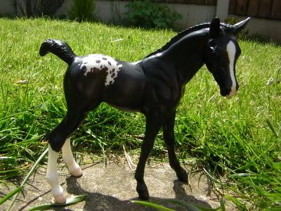 Photobucket Photobucket