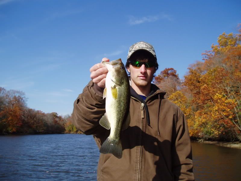 Pamunkey River, 11/17 Fishing Reports Bass Fishing Forums