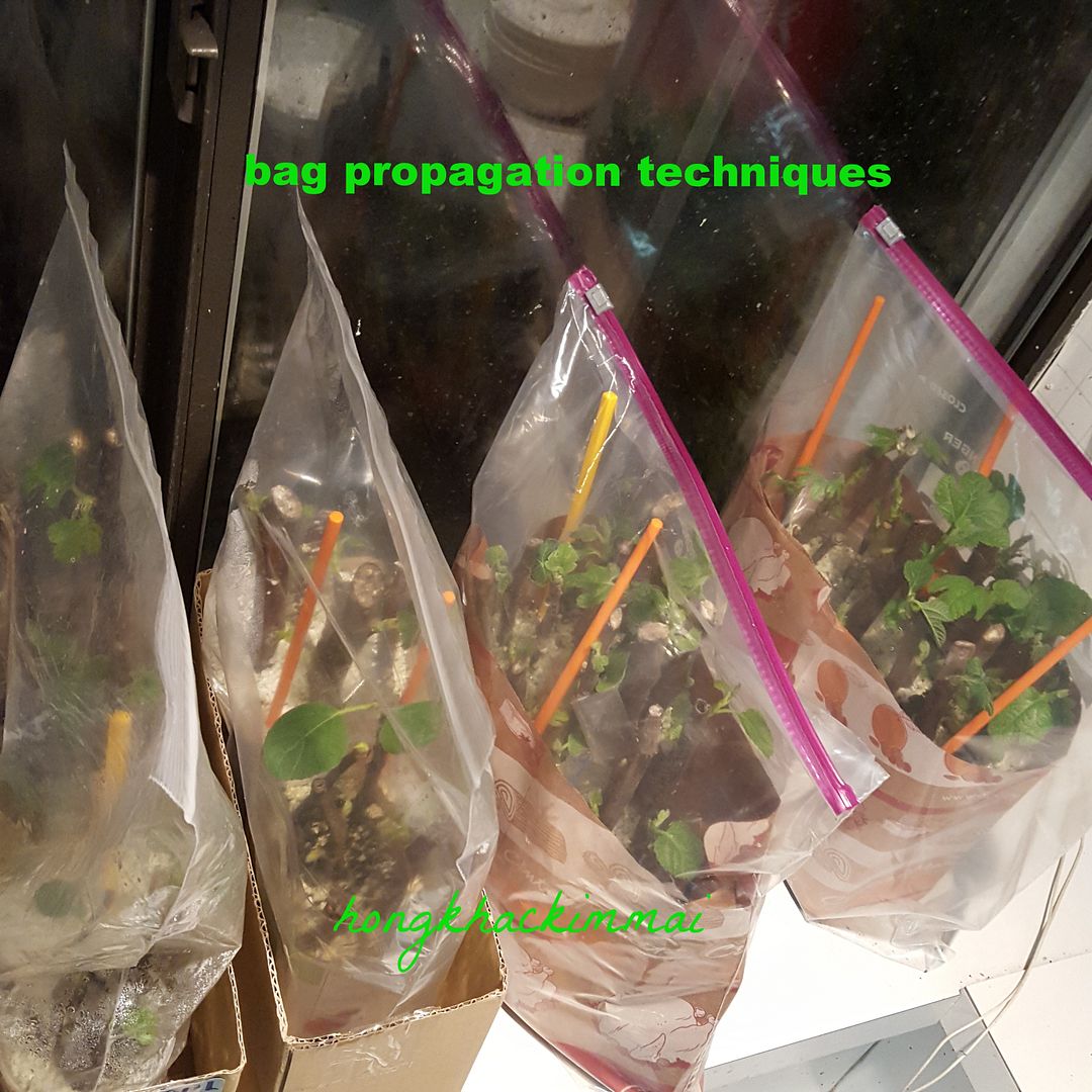 [48c19037-d2f7-417b-a972-dbc79d2e4fd9_zpshel7zjyi]