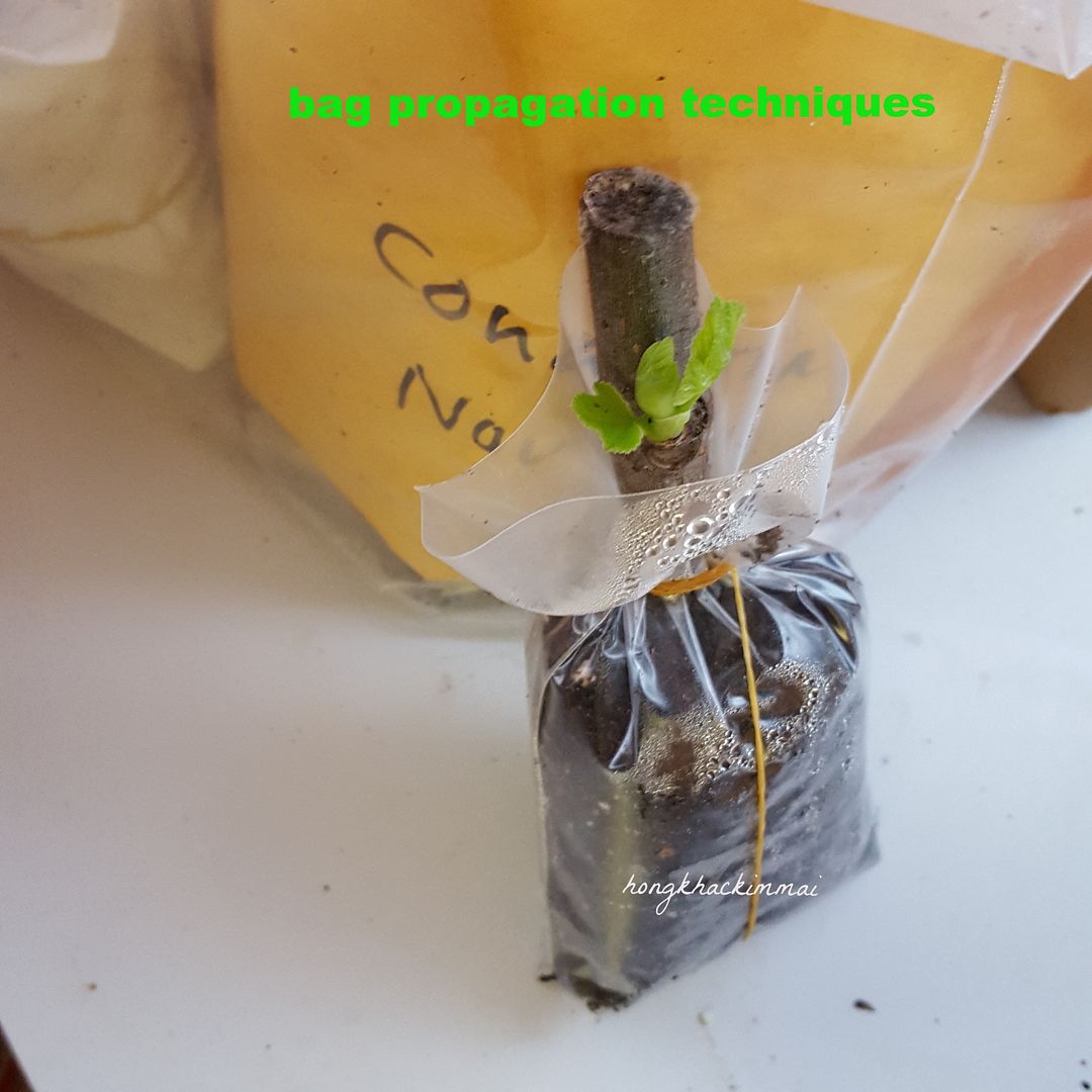 [579f5ddc-4821-464e-aac0-844c5a02325e_zpsagilji4k]