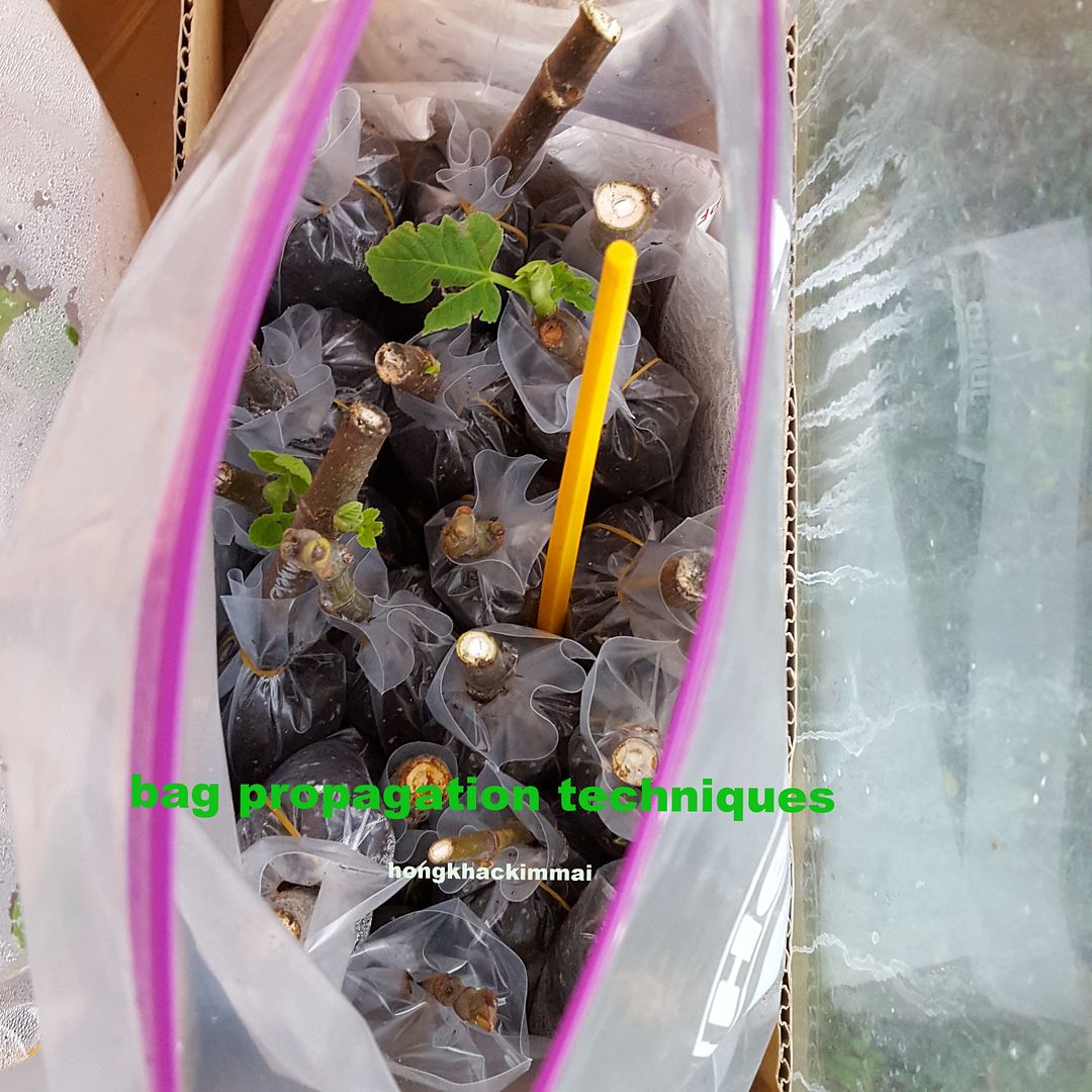 [67b7046f-d180-4079-94e9-2aa4aa59b810_zps5jtp7ipo]