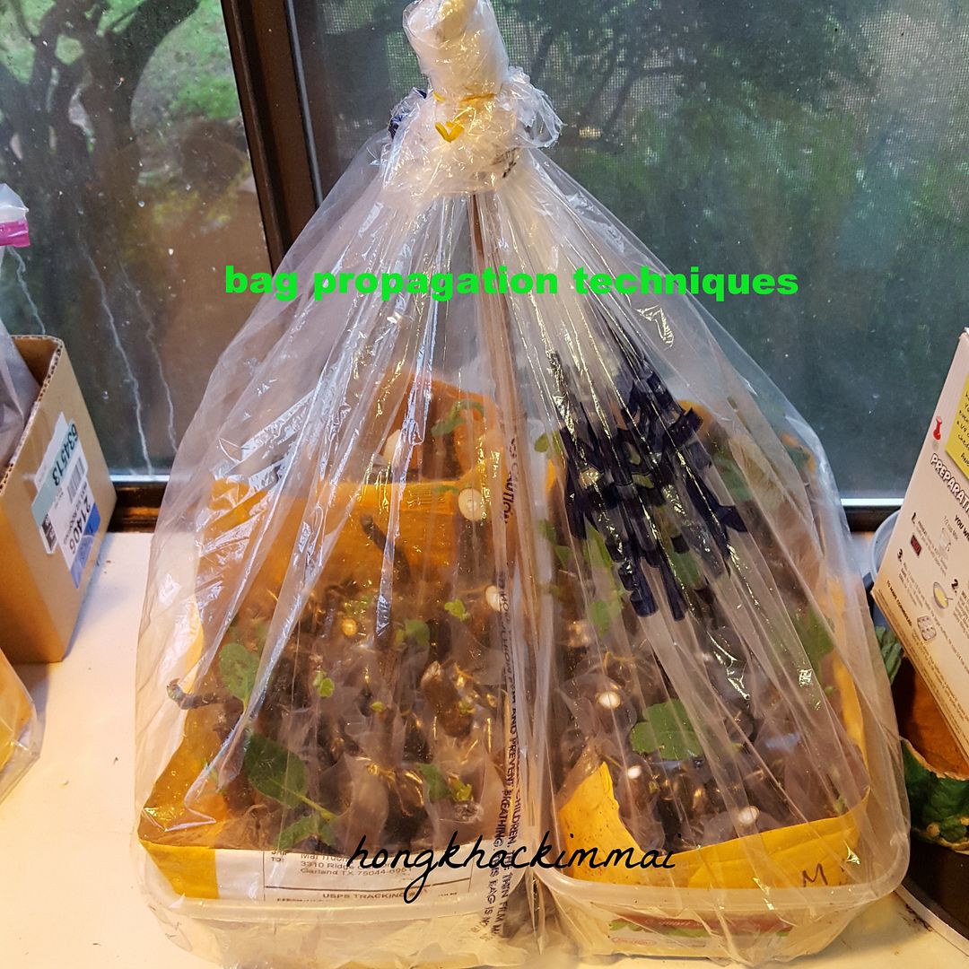 [6c94deed-11b0-44e0-be92-a889e5b4b373_zpstfapfhqk]