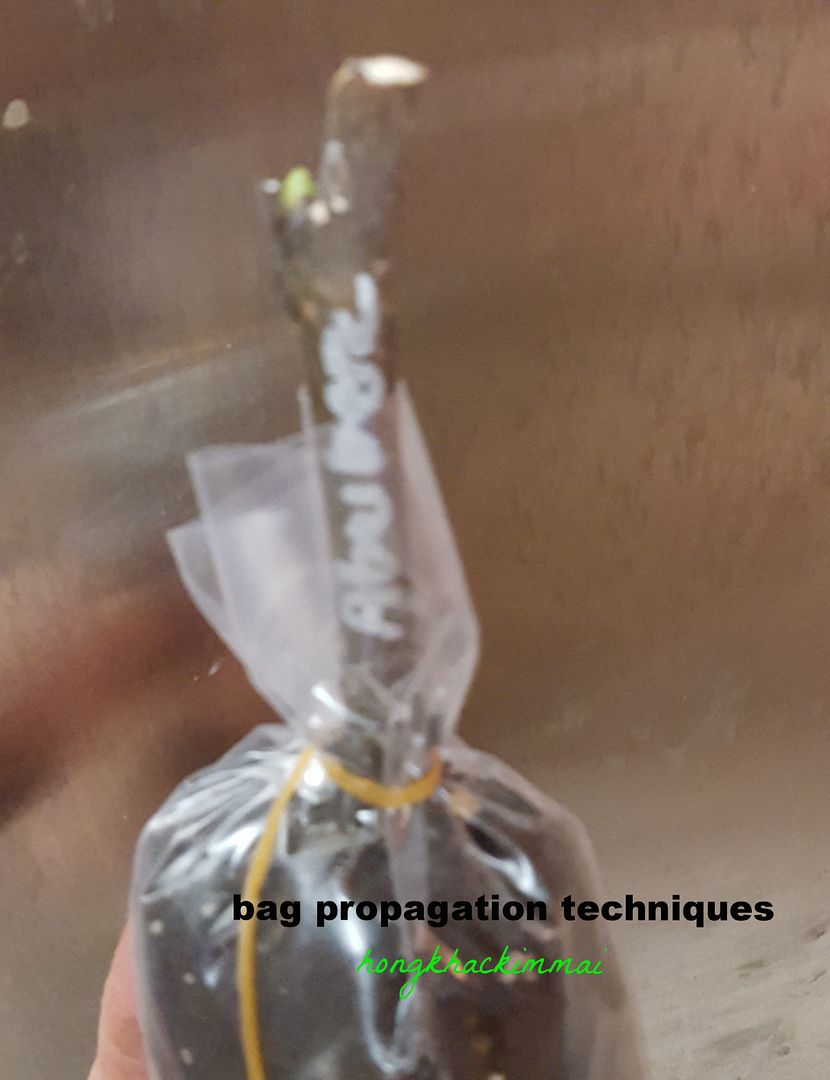 [85c0b8df-cd8a-4833-ba62-09743c6eedc7_zpsc2dxxfyj]