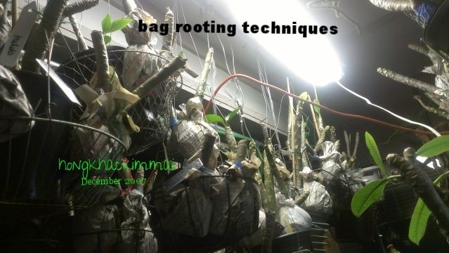 [196285b4-fa31-487e-baba-b3b80a59f855_zpsuglbhcvh]