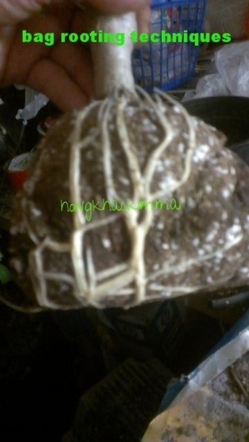 [46baecd3-71da-453f-926d-1202db710691_zpsnwfz4g8b]