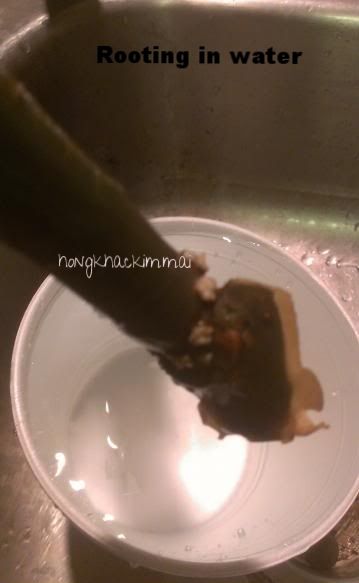 [563a748e-e144-4dd0-b1b1-168f282cc111_zpshhnxfzxw]