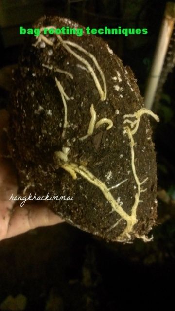 [8292dd9f-2dcf-48b3-a5d3-ab1fcb2d2d10_zpsyf61kmu1]