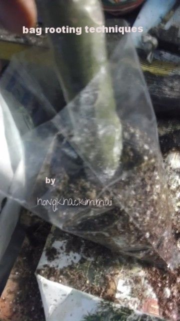 [83bbb48f-fe44-4e10-b495-dbe534f0533d_zpsmkrnhzoo]