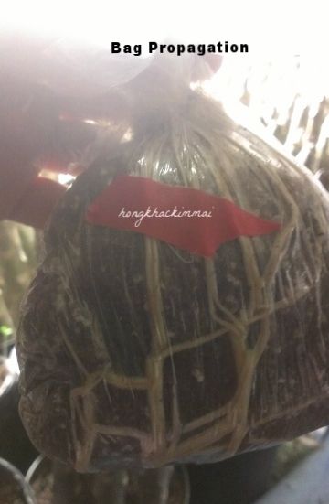 [89b630b7-059e-4729-9f2b-d221c0544b9d_zpswdtqazow]