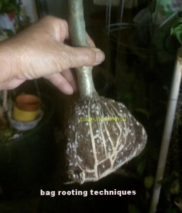 [acb4d602-fedc-46da-b3ce-5a614693f2ed_zpszp3ykrsf]