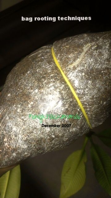 [b5ee6f02-8ae6-49a4-b3c8-1f8a68b18143_zpsmucgit0v]