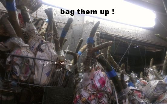 [c10503bd-30a1-461c-8944-1272846e703a_zpsnztaemhl]