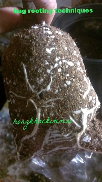 [f58c21dc-6fac-4f53-b094-66fab537813a_zpskgf7hzdj]