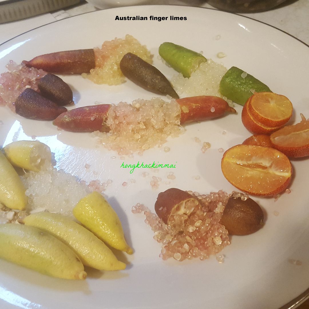 My Australian Finger Limes