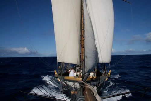 IMAGE: http://i10.photobucket.com/albums/a134/hawaiisailornate/lynx/IMG_9641.jpg