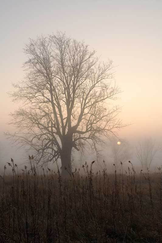 IMAGE: http://i10.photobucket.com/albums/a135/nicshow/IMG_7417_edited-2.jpg