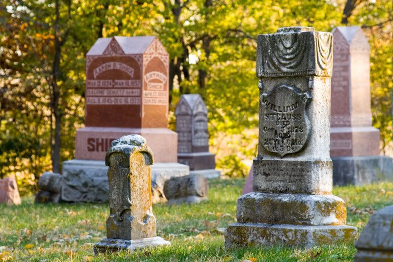 IMAGE: http://i10.photobucket.com/albums/a135/nicshow/Nics%20Gallery/IMG_7261_edited-1.jpg