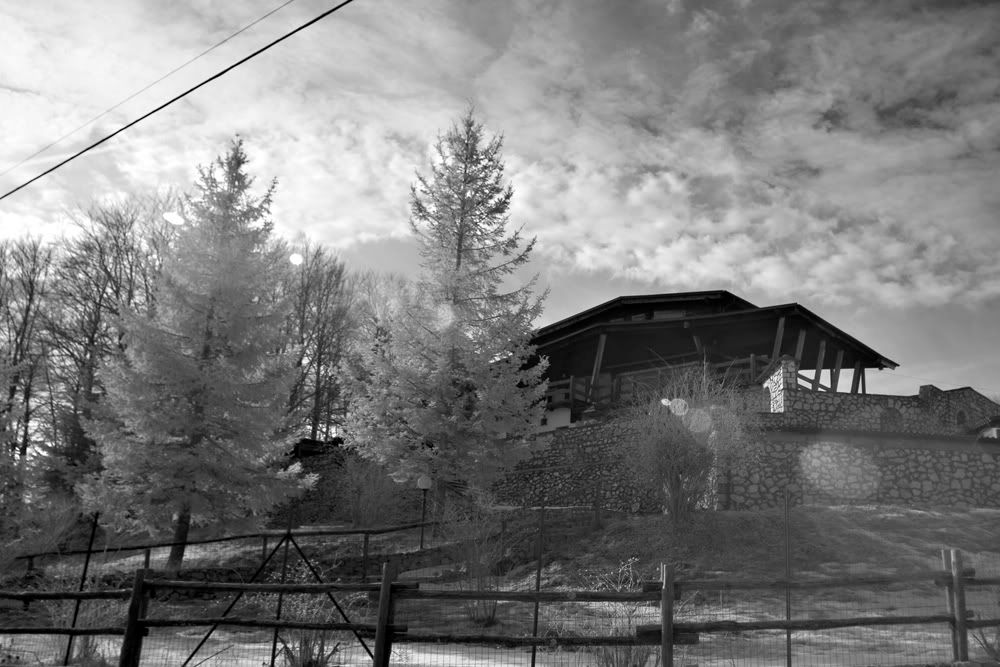 IMAGE: http://i10.photobucket.com/albums/a135/tiziano_bruno/BW/Campaegli%20IR/CRW_2883c.jpg