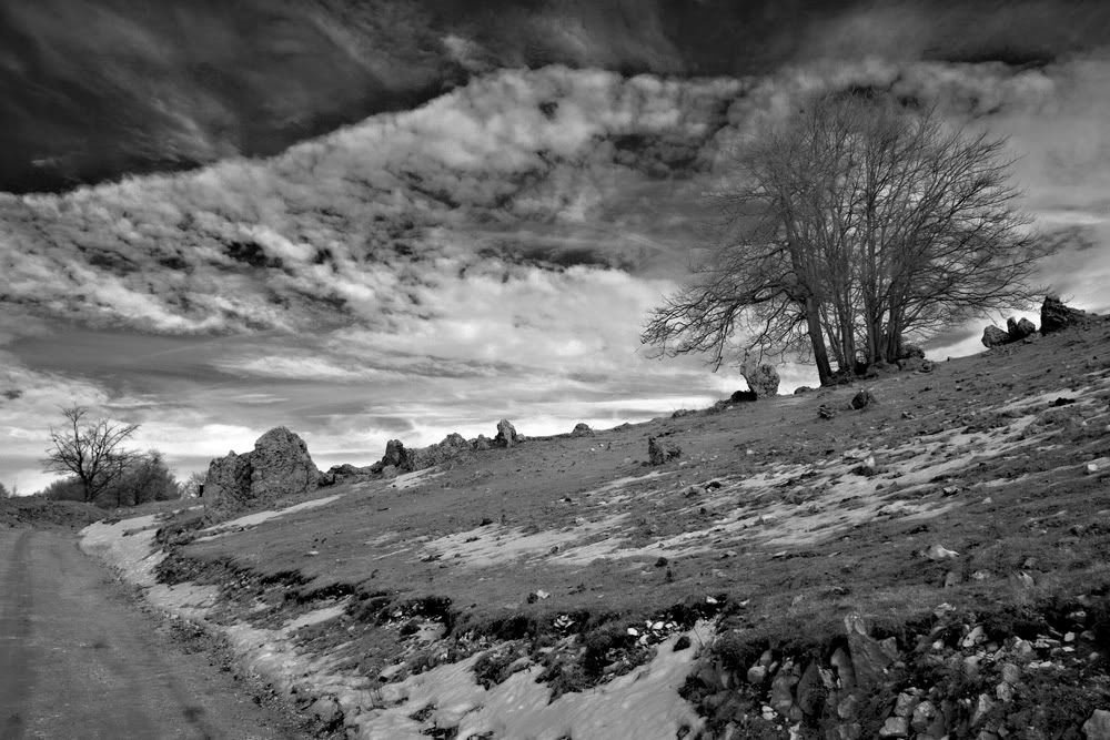 IMAGE: http://i10.photobucket.com/albums/a135/tiziano_bruno/BW/Campaegli%20IR/CRW_2911.jpg