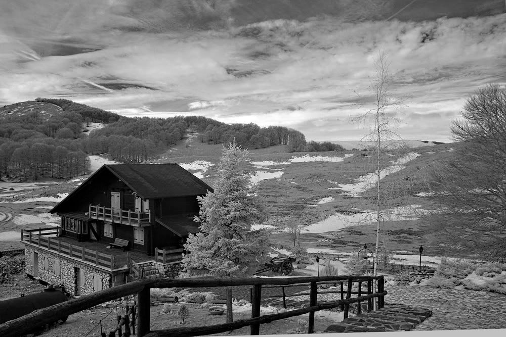 IMAGE: http://i10.photobucket.com/albums/a135/tiziano_bruno/BW/Campaegli%20IR/CRW_2917.jpg