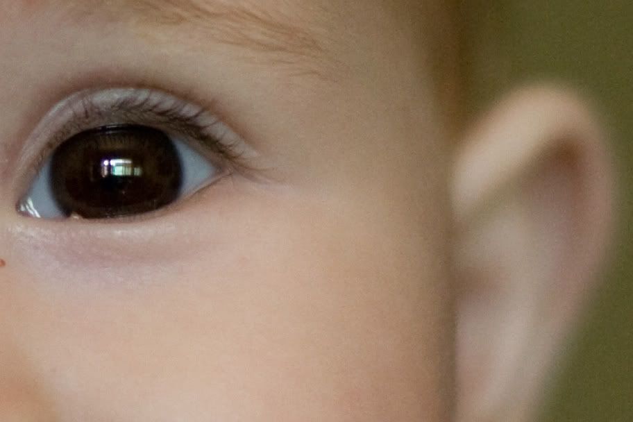 IMAGE: http://i10.photobucket.com/albums/a135/tiziano_bruno/temp/IMG_7605c.jpg