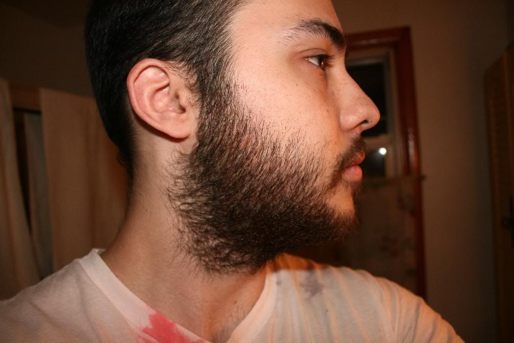 Beard Jawline