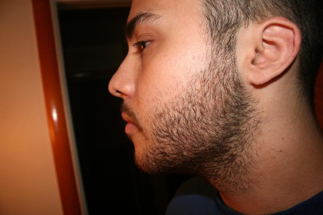 Side Beard