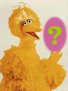 bigbird.gif
