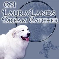 LauraLands Dream Catcher