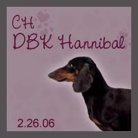 DBK Hannibal