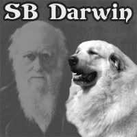 SB Darwin