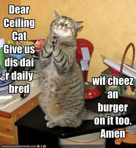 funny-pictures-cat-prays-for-bread-.jpg