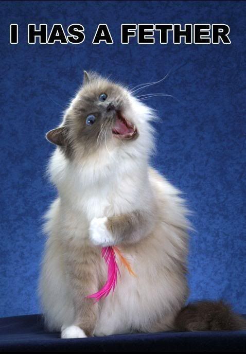 [Image: 20070201062151.jpg]