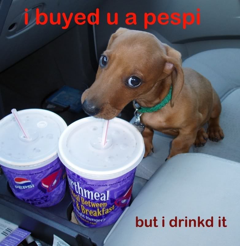 [Image: buyedpepsi.jpg]