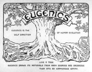 Eugenics Tree