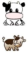 cute cows